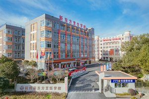 ٿح¶2026괺Ԥưೣ